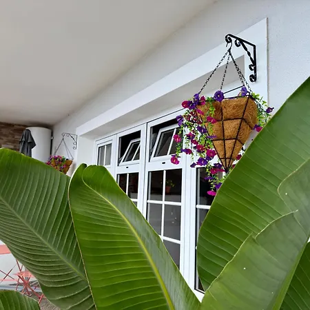 Airport Oasis Apartman